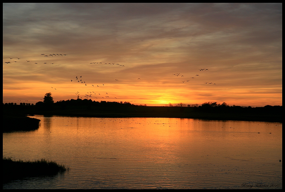 Vogelflug