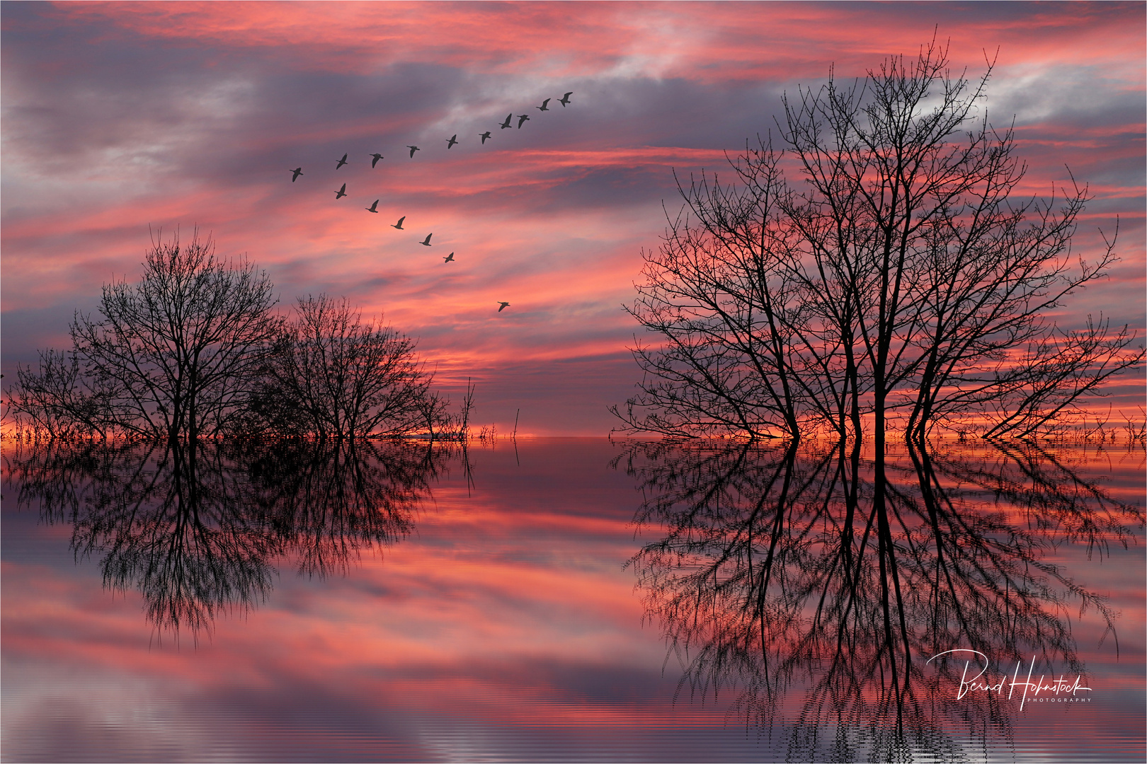 Vogelflug .....