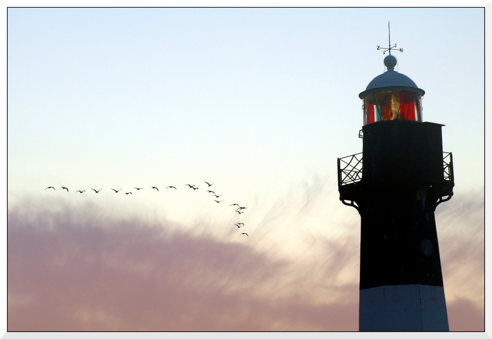 Vogelflug am Leuchtturm