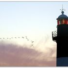 Vogelflug am Leuchtturm