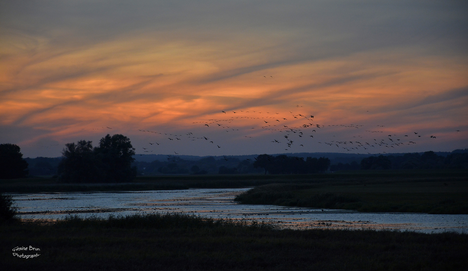 Vogelflug bei Sonnenuntergang