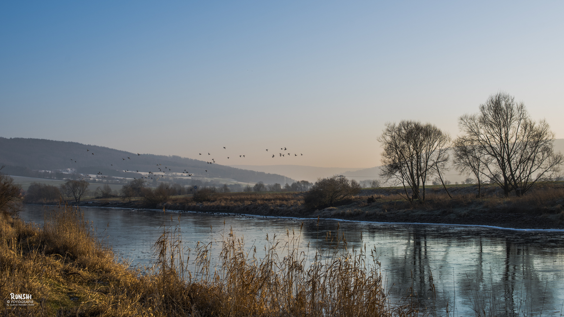 Vogelflug