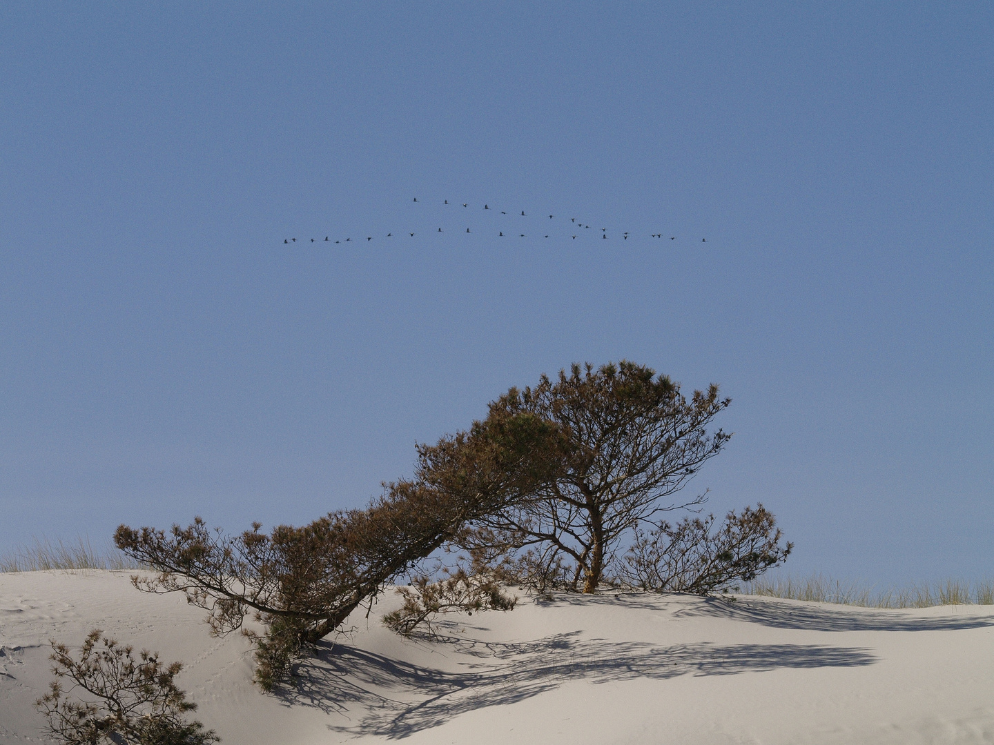 Vogelflug über Südbornholm