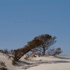 Vogelflug über Südbornholm