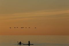 Vogelfluglinie