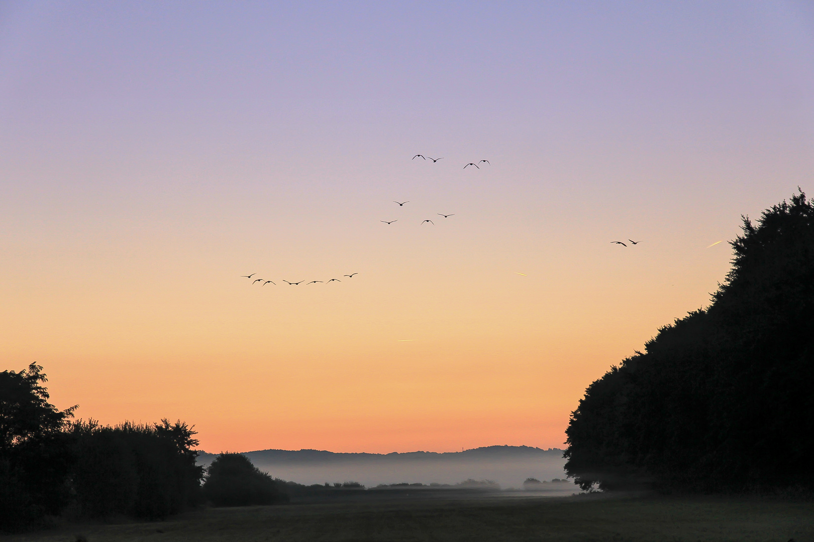 Vogelfluglinie II