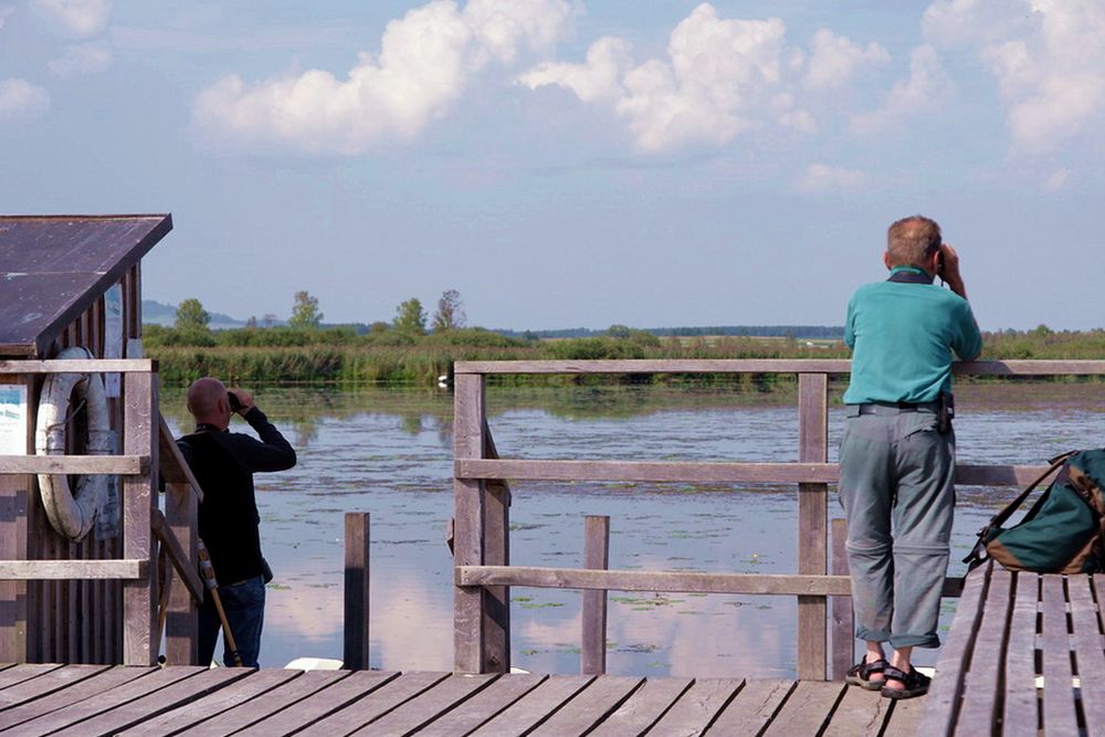 Vogelfreunde am Federsee