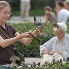 Vogelfütterung