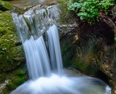 Vogelgesangklamm 12