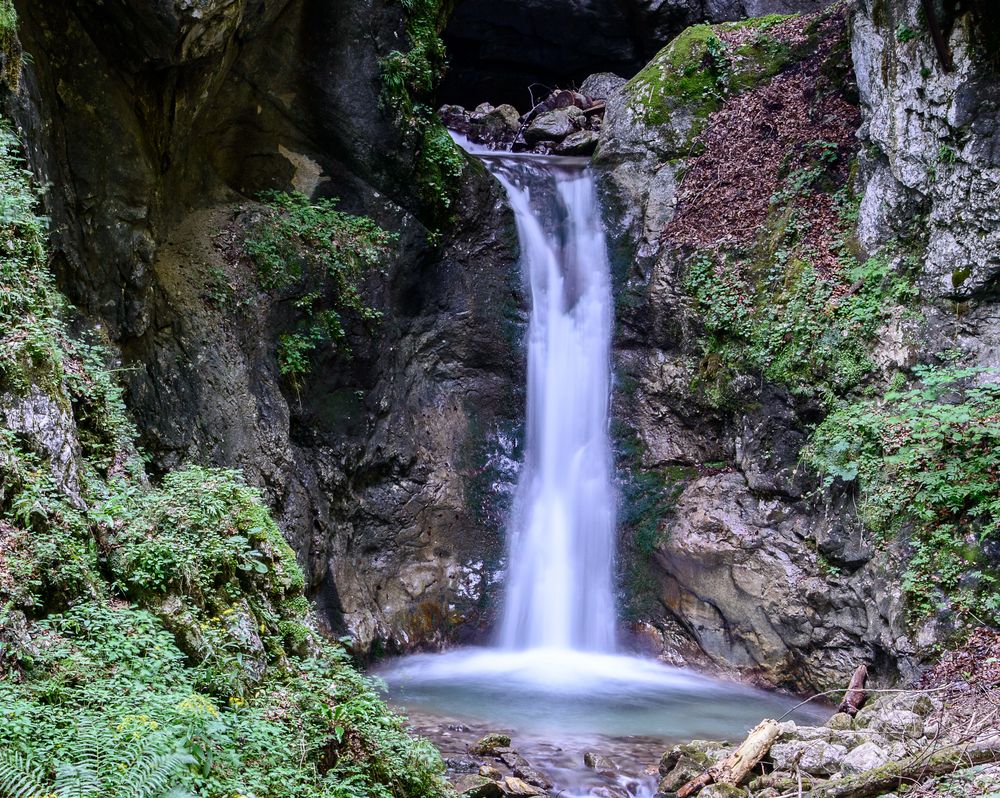 Vogelgesangklamm 2