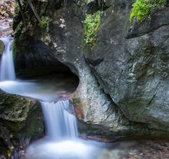 Vogelgesangklamm 3