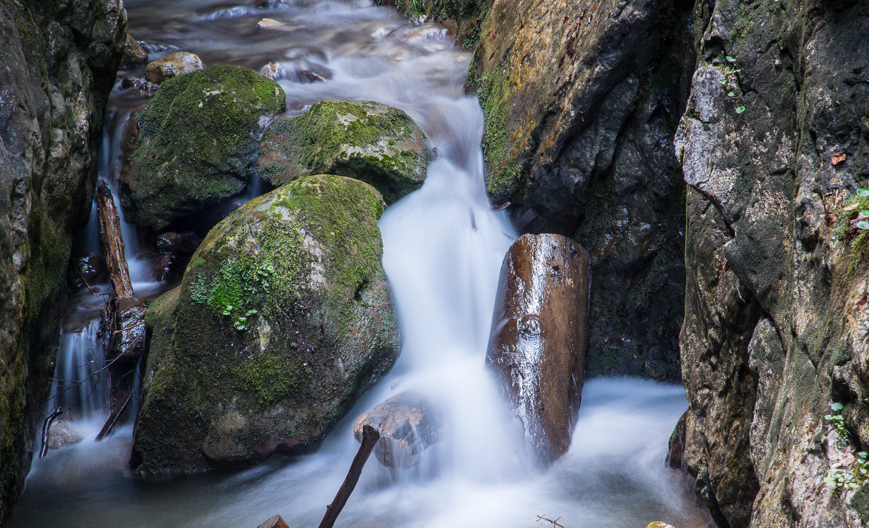 Vogelgesangklamm 6