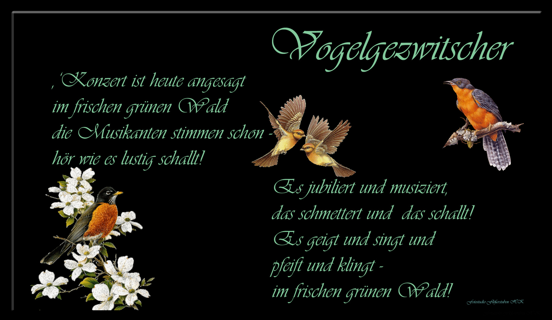 Vogelgezwitscher Foto & Bild | digiart, sprüche Bilder auf fotocommunity