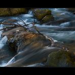 Vogelgezwitscher, Wasserplätschern und das Rauschen des Windes ....