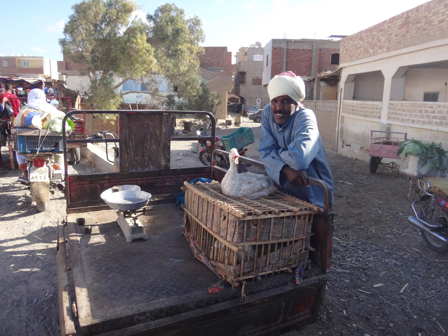 Vogelhändler auf dem Markt in Quesir, Ägypten