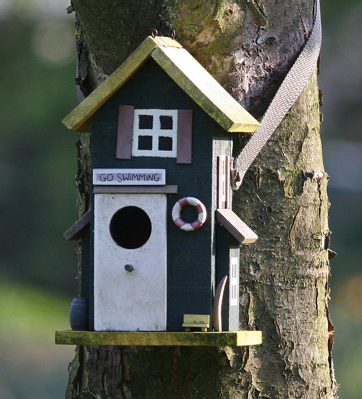 Vogelhäuschen Foto & Bild quatsch, fun und rätselecke, witzige