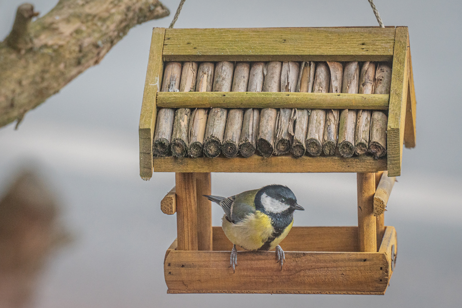 Vogelhäuschen