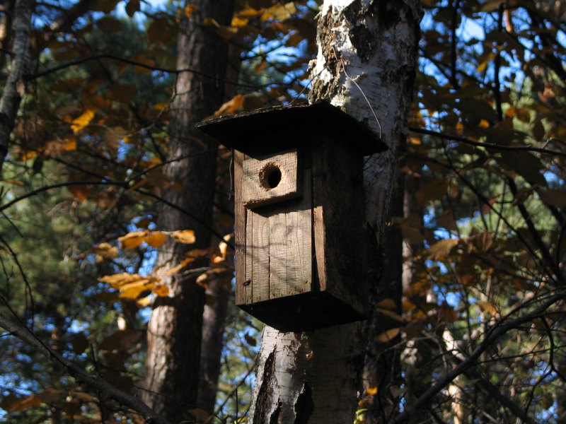 Vogelhäuschen