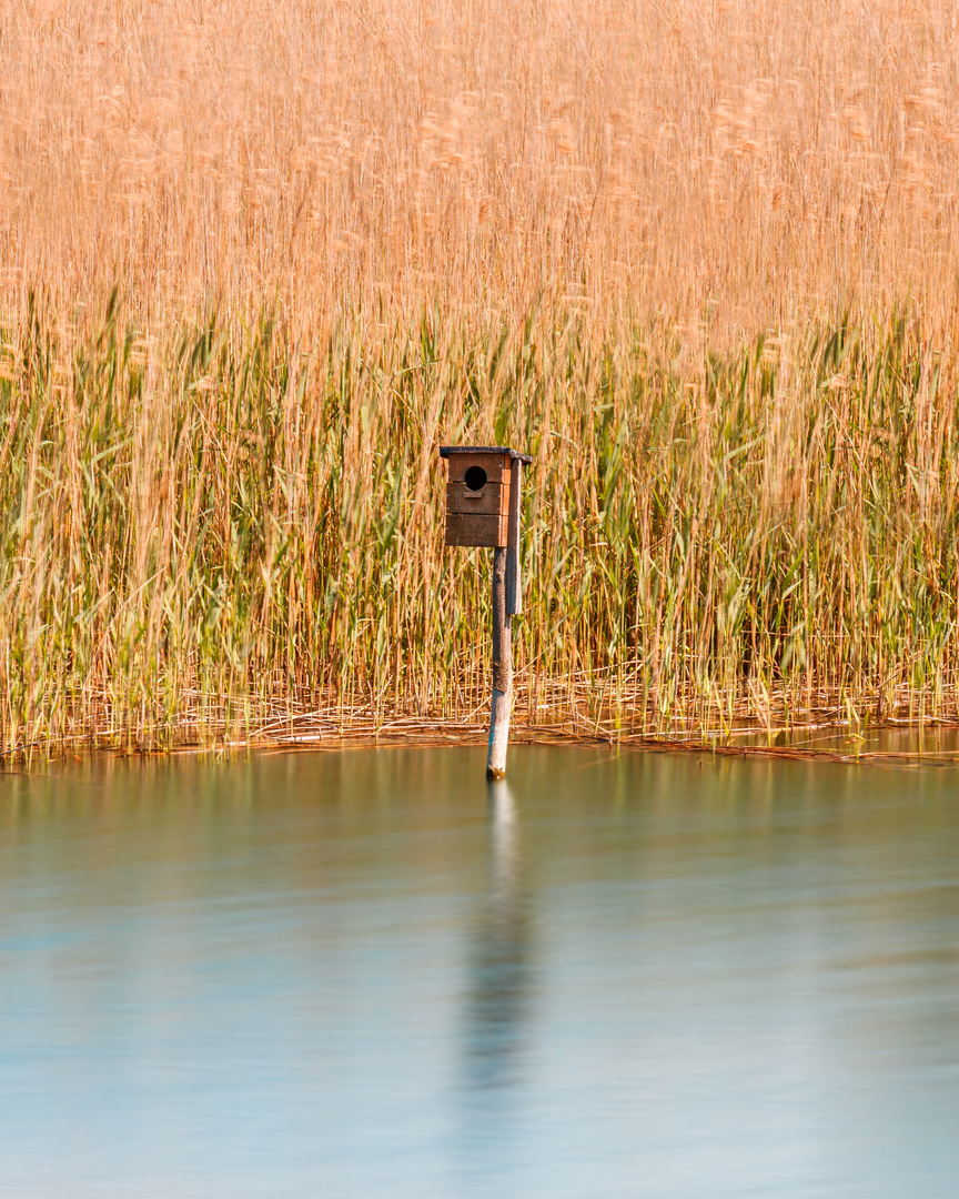 Vogelhäuschen auf dem Teterower See