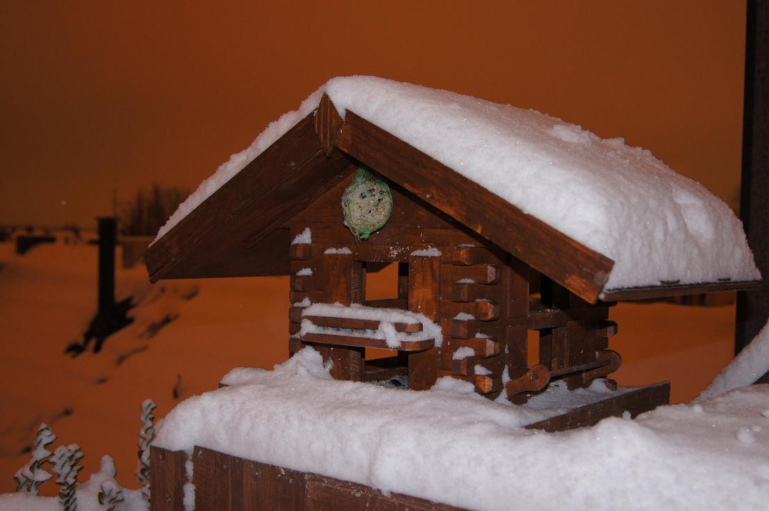 Vogelhäuschen bei Schnee !