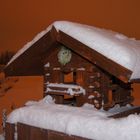 Vogelhäuschen bei Schnee !