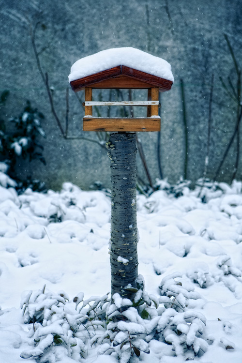 Vogelhäuschen