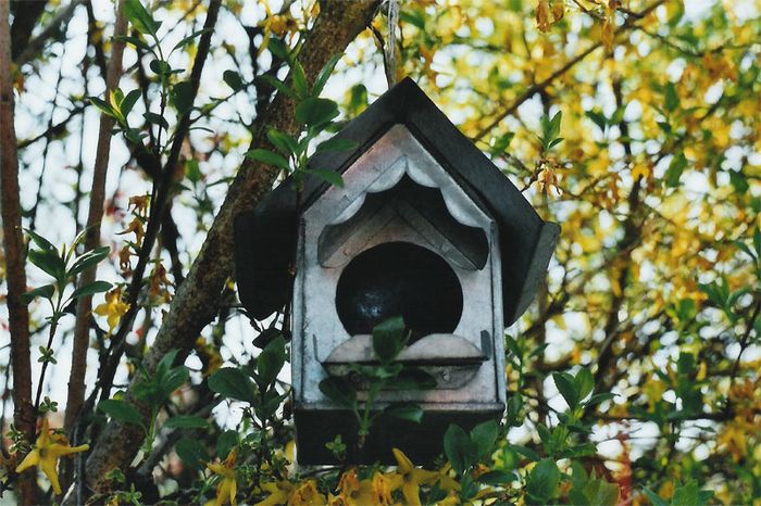 Vogelhäuschen