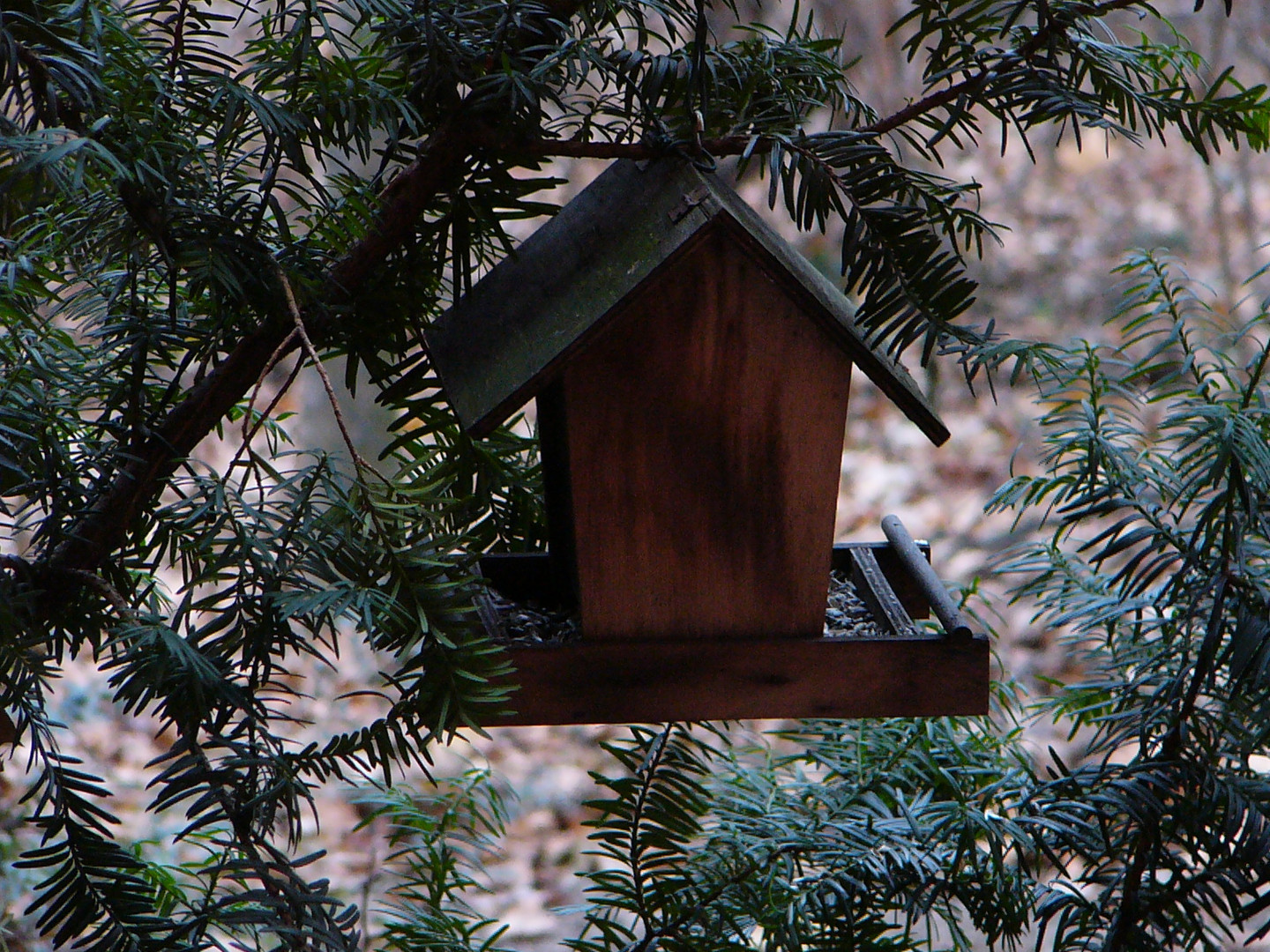 Vogelhäuschen im Archivpark