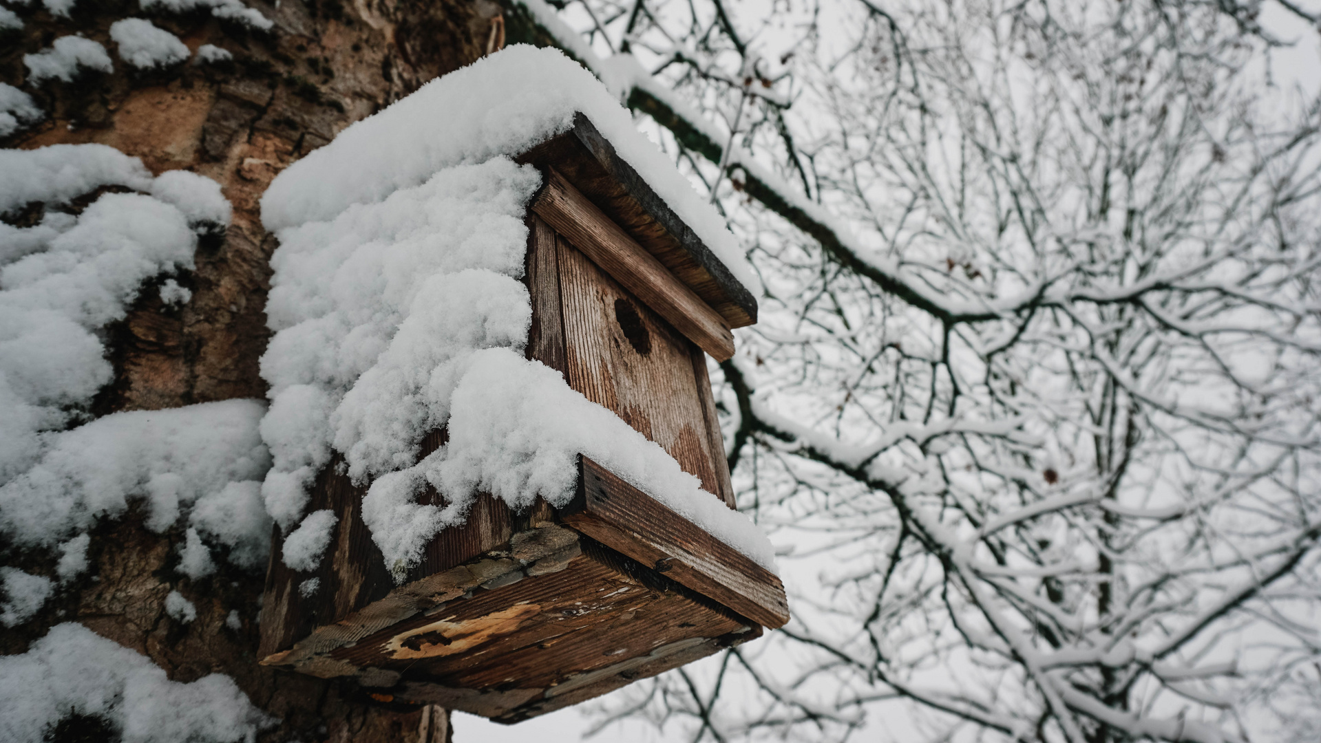 Vogelhäuschen im Schnee