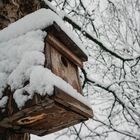 Vogelhäuschen im Schnee