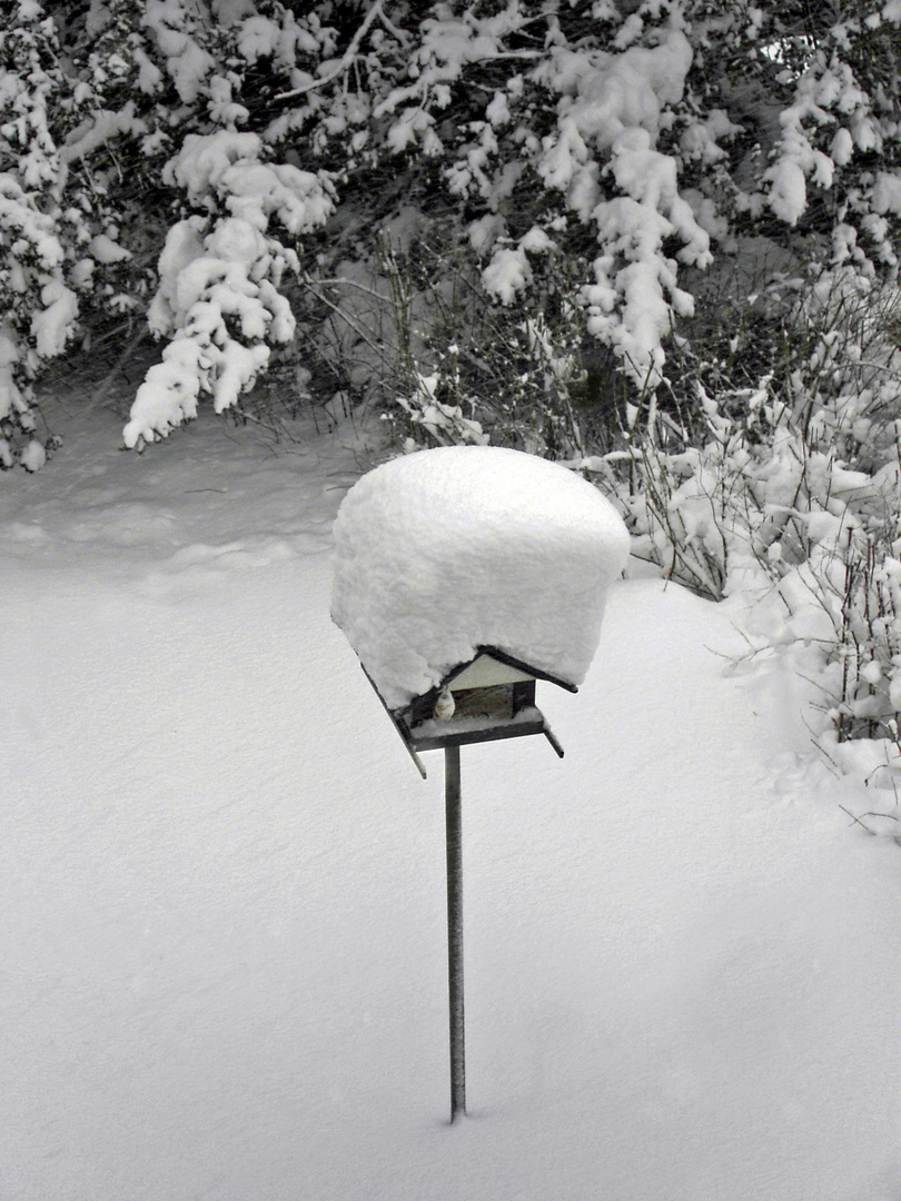 Vogelhäuschen mit Schneehaube