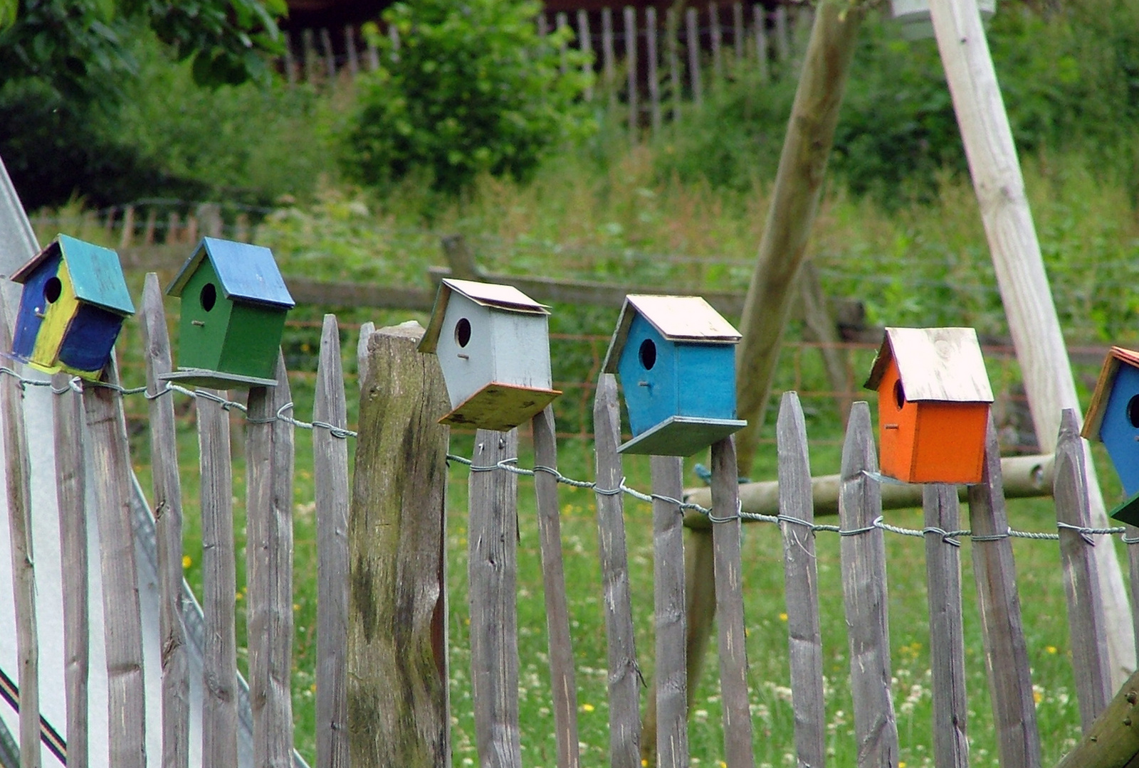 Vogelhäuschen-Parade