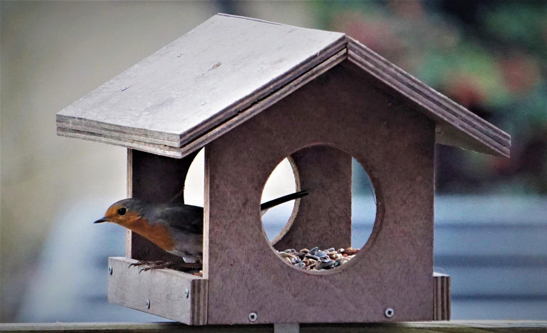 Vogelhäuser mit Bewohnern