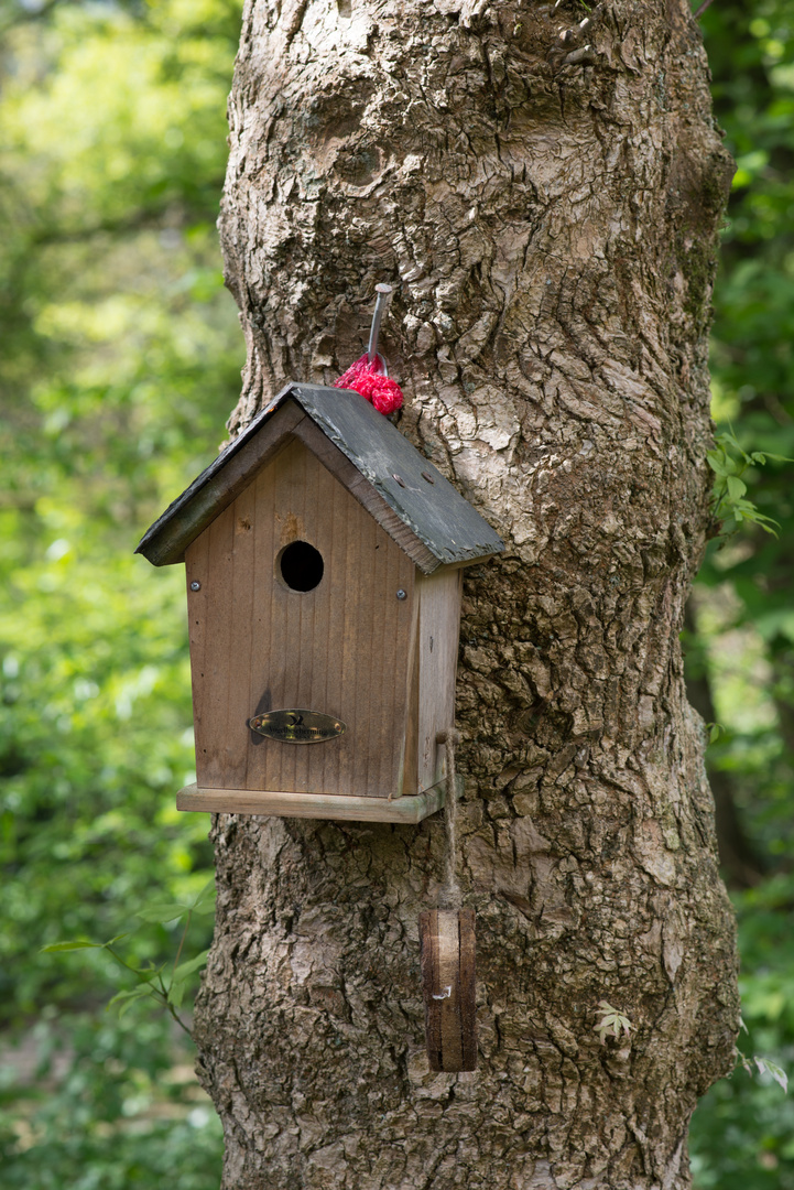 Vogelhaus