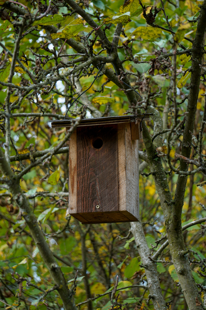 Vogelhaus Foto & Bild tiere, spuren von tieren, fotos Bilder auf