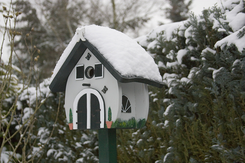 Vogelhaus aus Niedersachsen