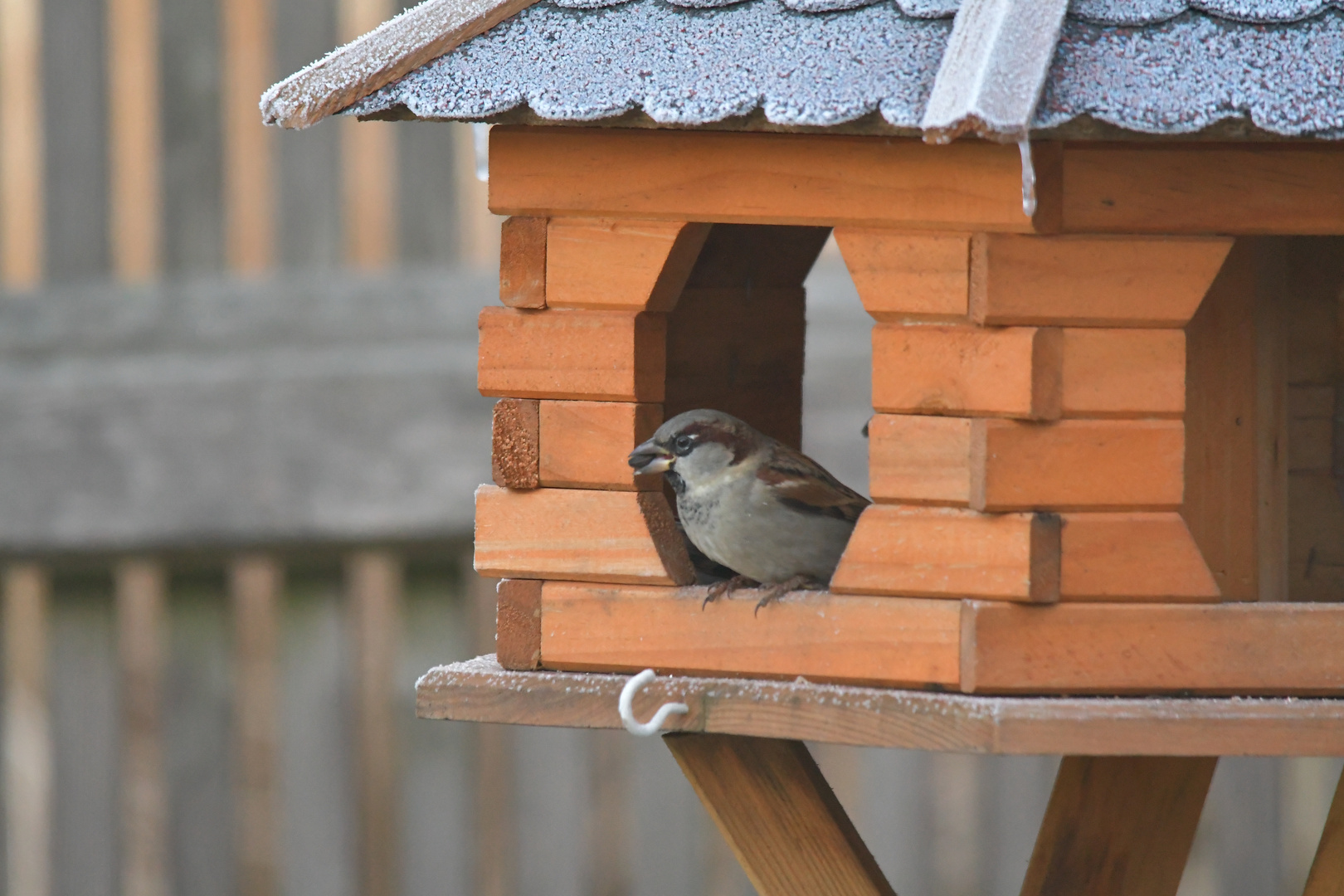 Vogelhaus