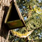 Vogelhaus im Bayerischen Wald