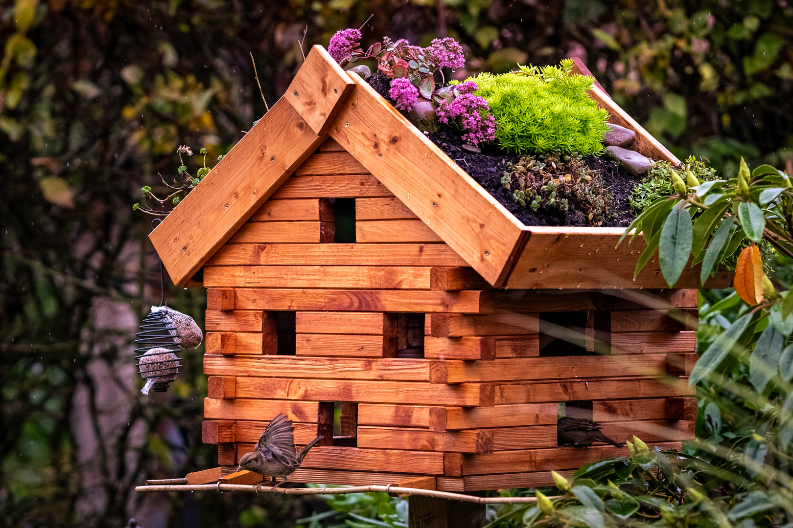 Vogelhaus im Garten, Niedersachsen, Herbst 2019