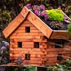 Vogelhaus im Garten, Niedersachsen, Herbst 2019