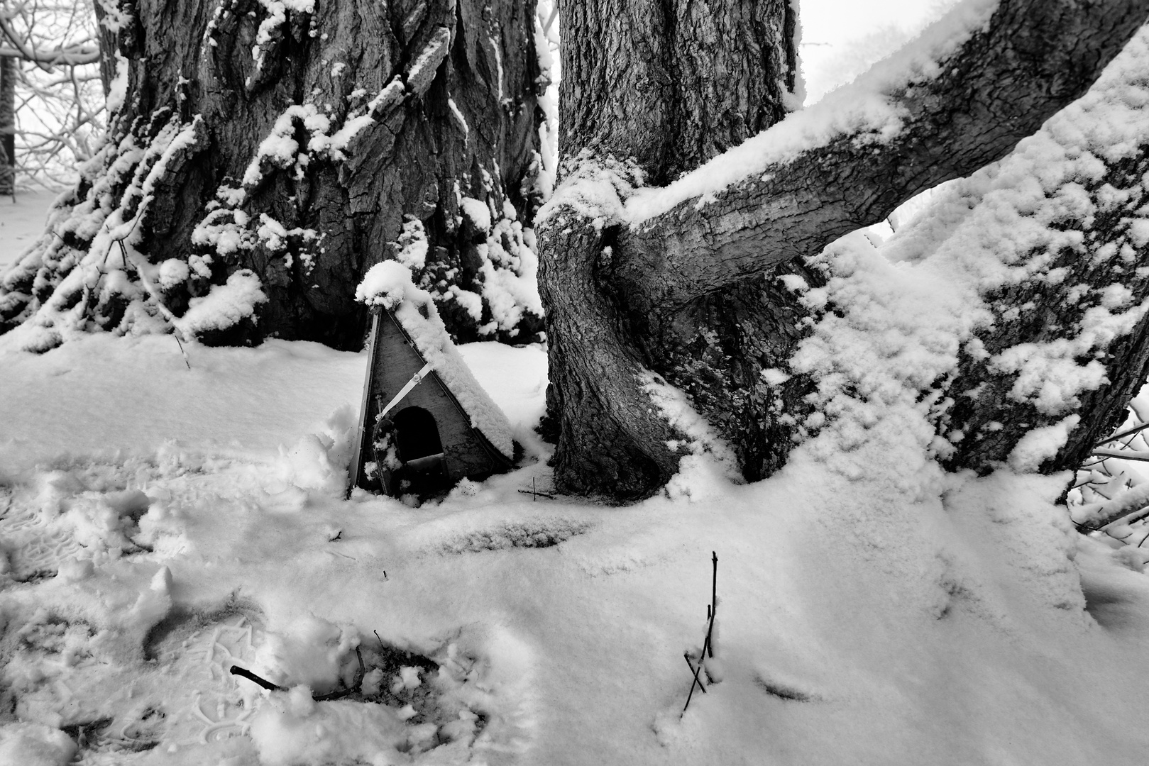 Vogelhaus im Schnee