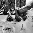 Vogelhaus im Schnee