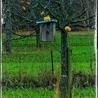 Vogelhaus mit Apfel