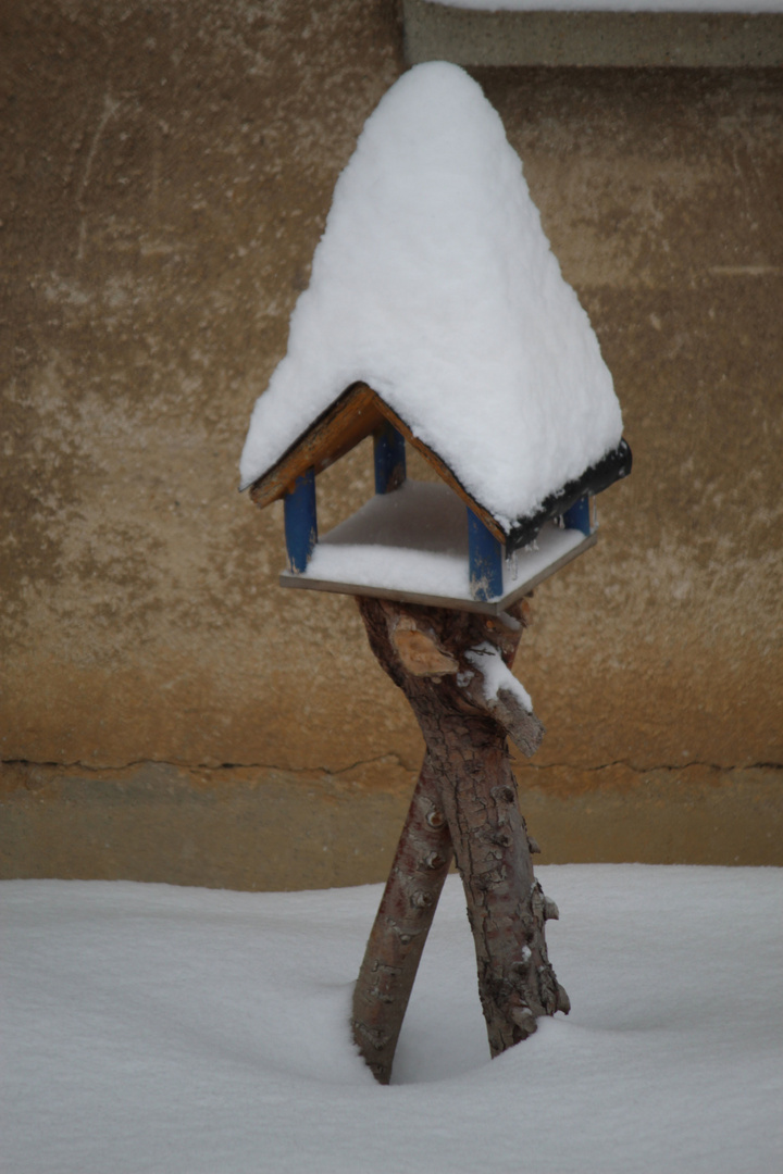 Vogelhaus mit Schneehaube
