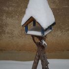 Vogelhaus mit Schneehaube