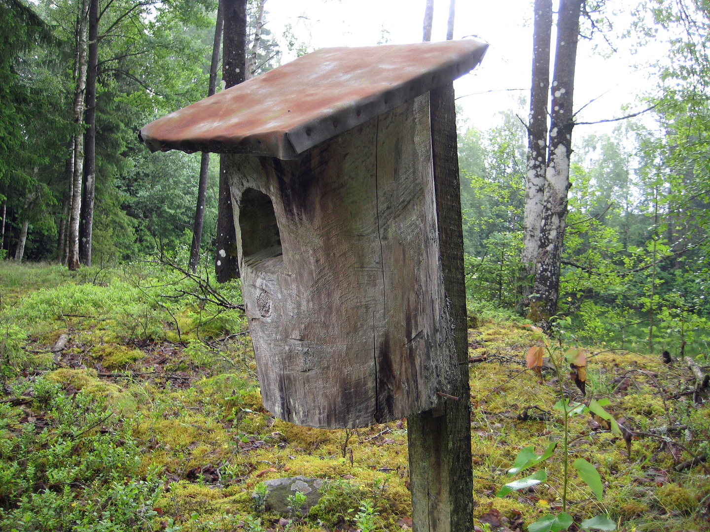 Vogelhaus XXL