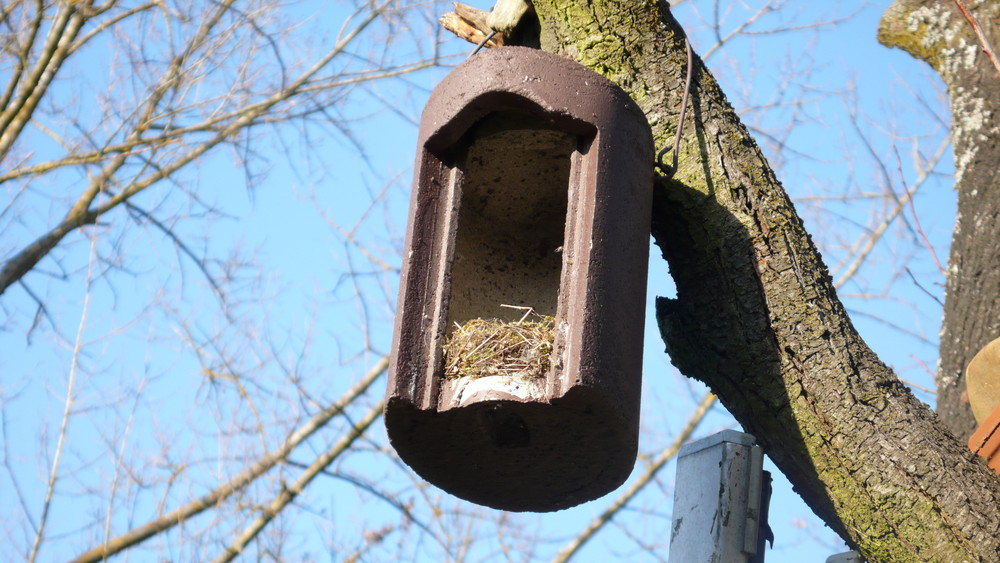 Vogelherberge von 2007 muß gereinigt werden für den neuen Frühlings-Mietvertrag