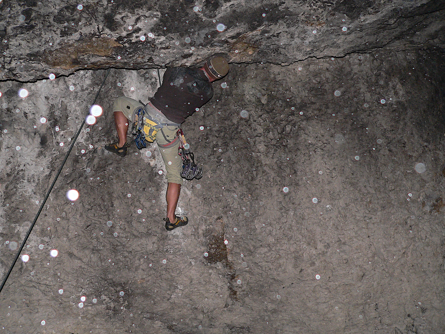 Vogelherdgrotte      "der mutterschaftsurlaub"