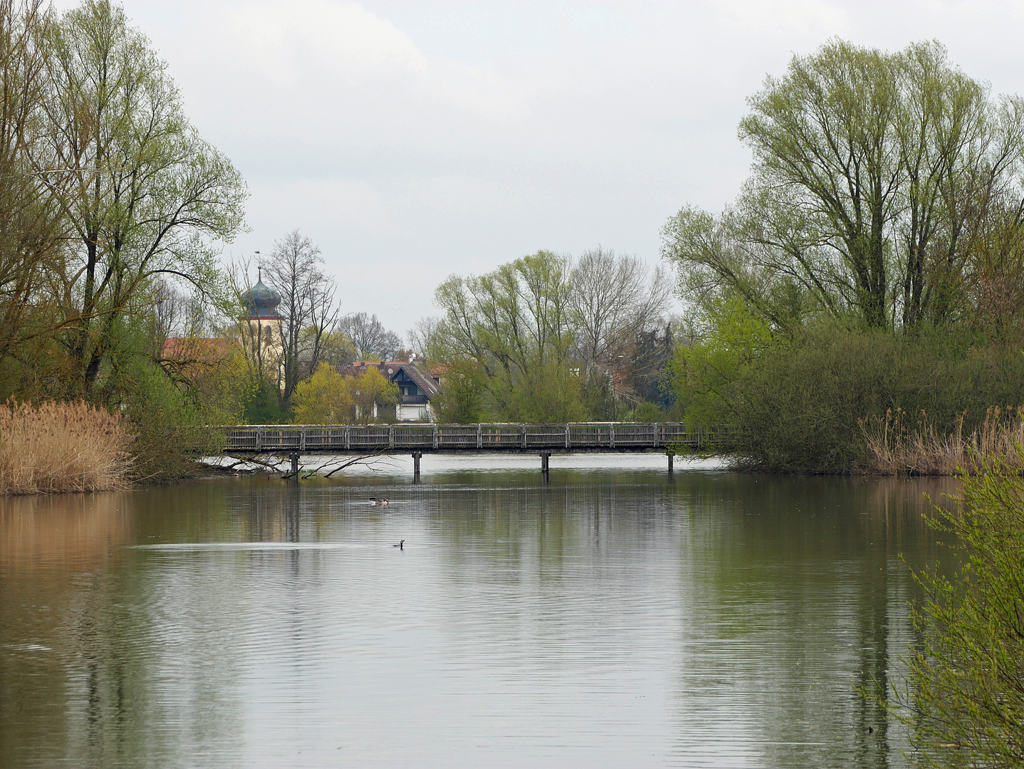 Vogelinsel (1)