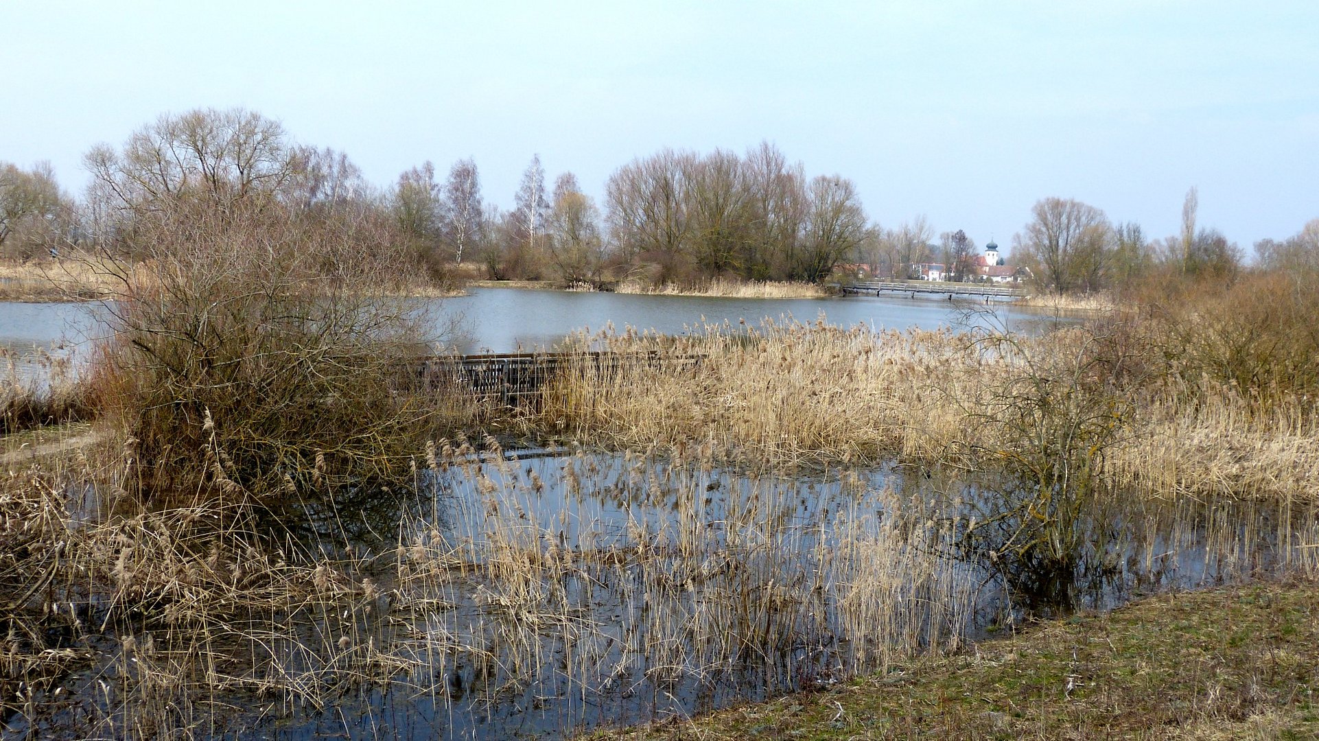 Vogelinsel 2